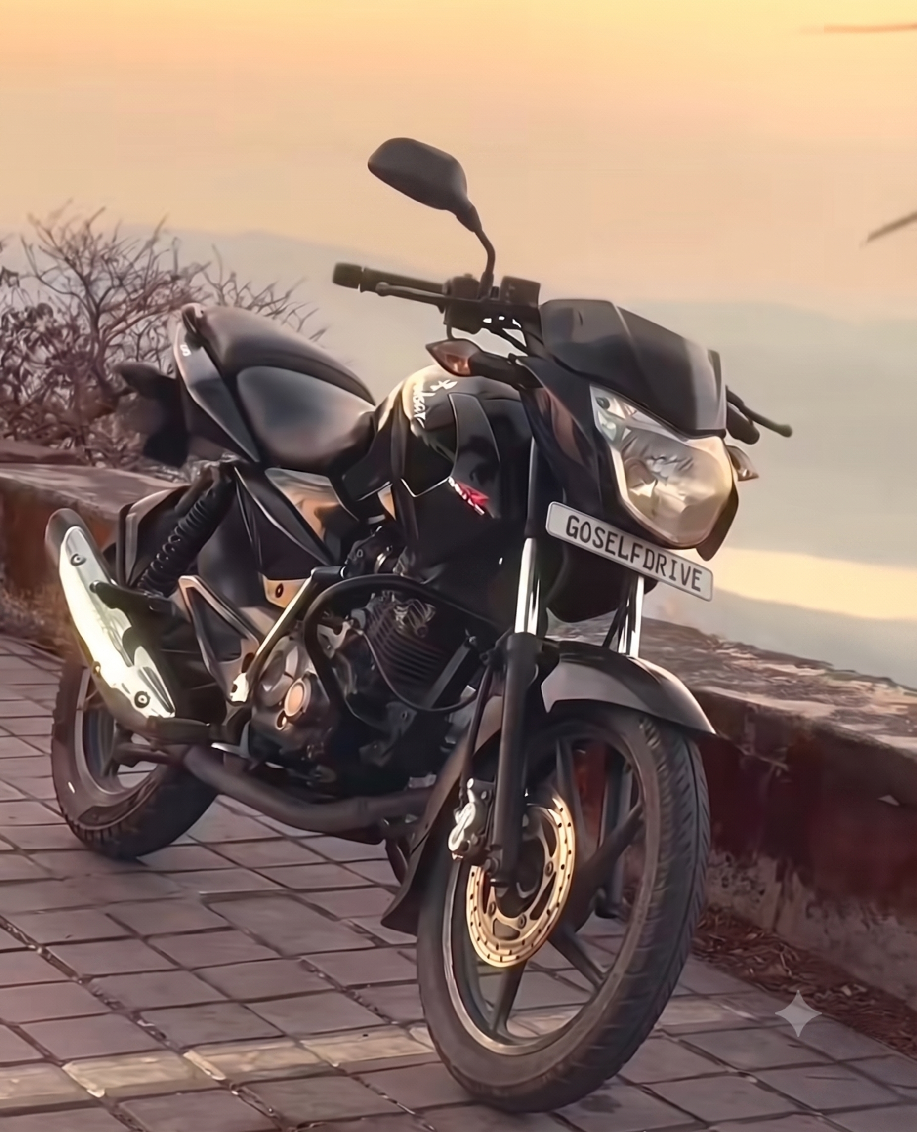 Bajaj Pulsar 135